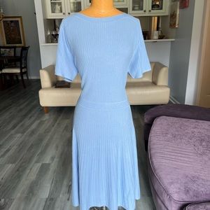 NWT Ann Taylor periwinkle skater dress
